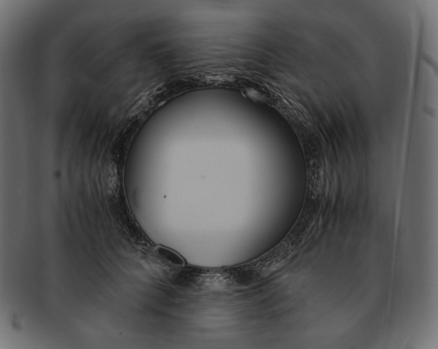 X0000091520704200709071017