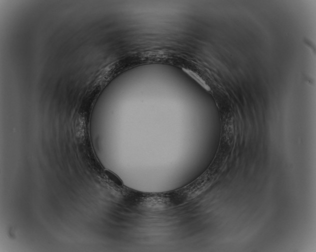 X0000091520708200709071017