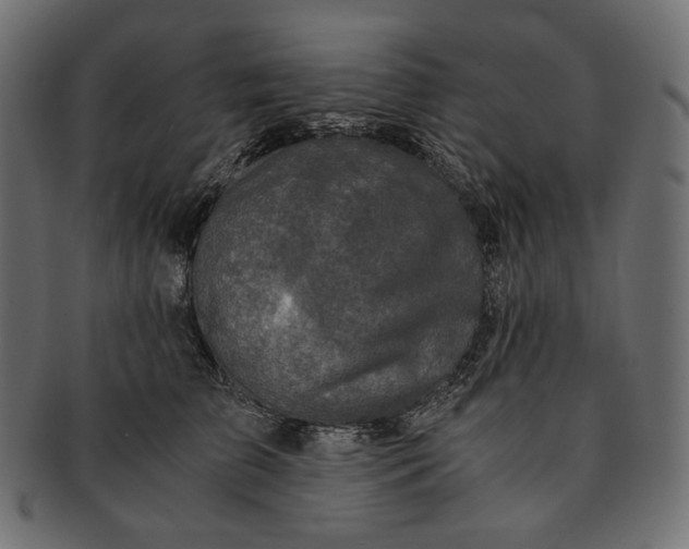 X0000091520709200709071017