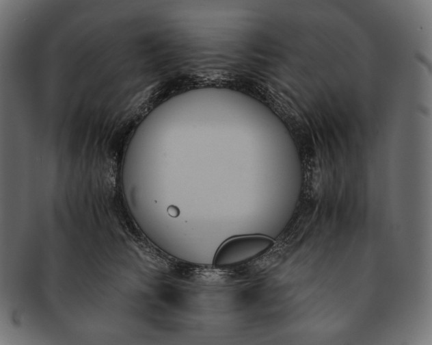 X0000091520710200709071017