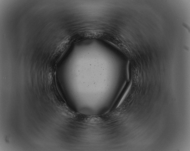 X0000091520716200709071017