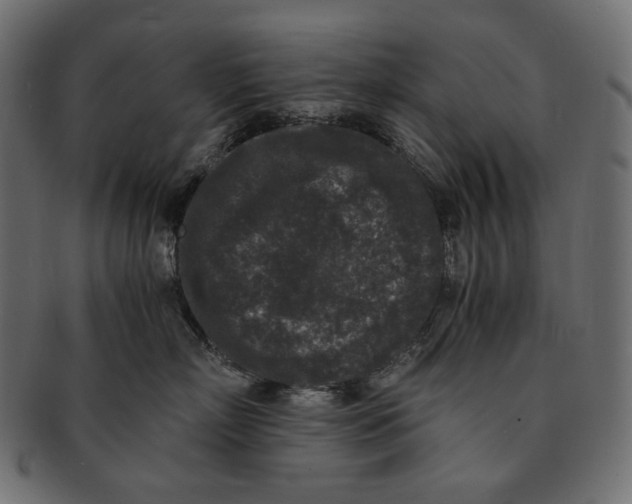 X0000091520718200709071017