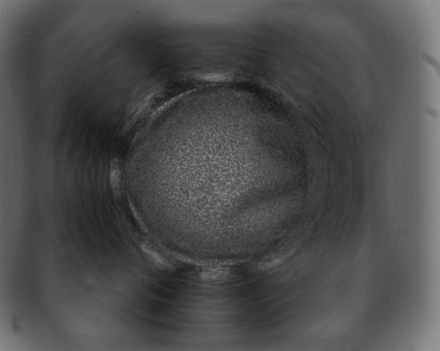 X0000091520720200709071017