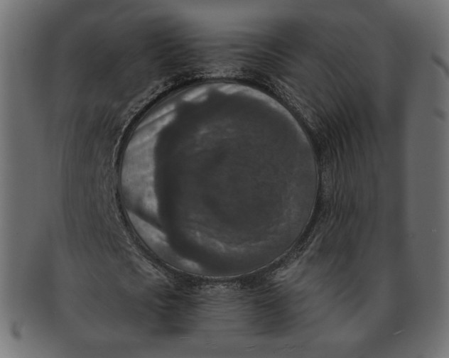 X0000091520721200709071016