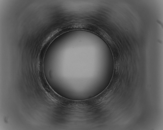 X0000091520722200709071016