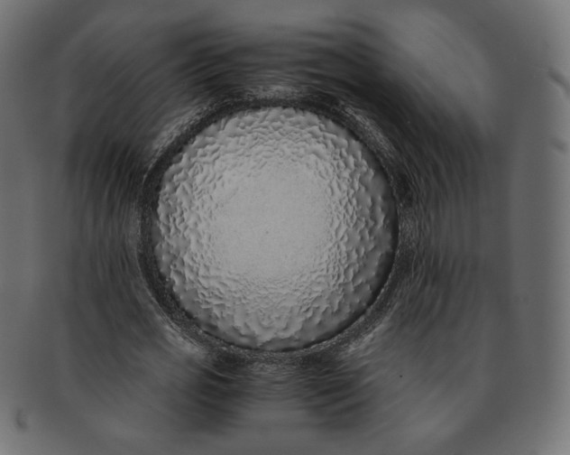 X0000091520725200709071016