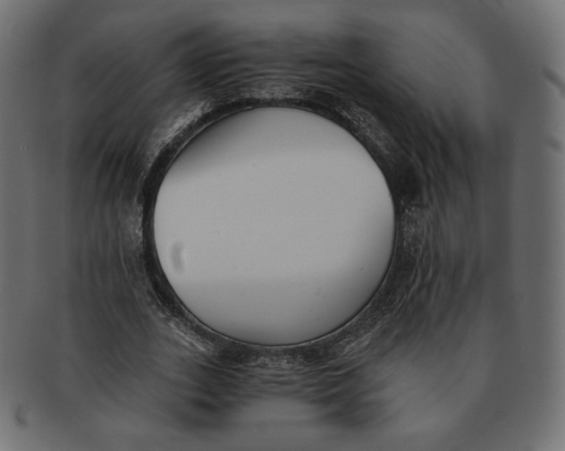 X0000091520727200709071016