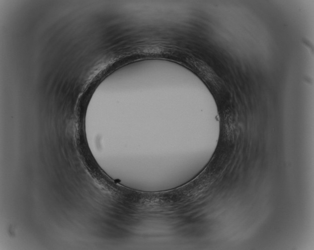 X0000091520728200709071016