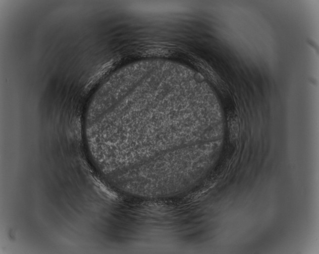 X0000091520729200709071016