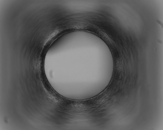 X0000091520730200709071016