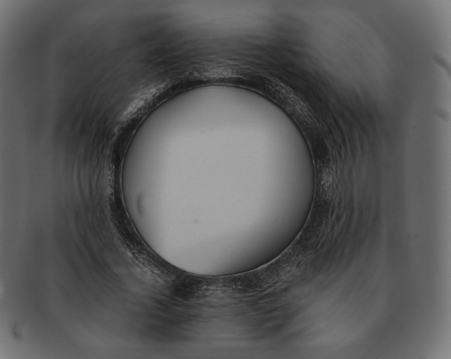 X0000091520732200709071016