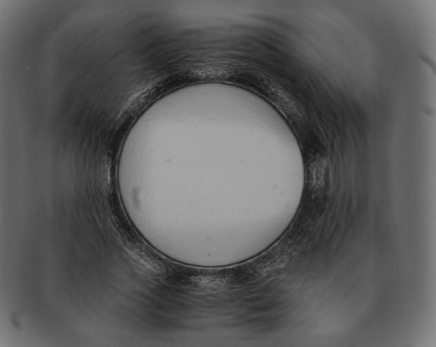 X0000091520733200709071016