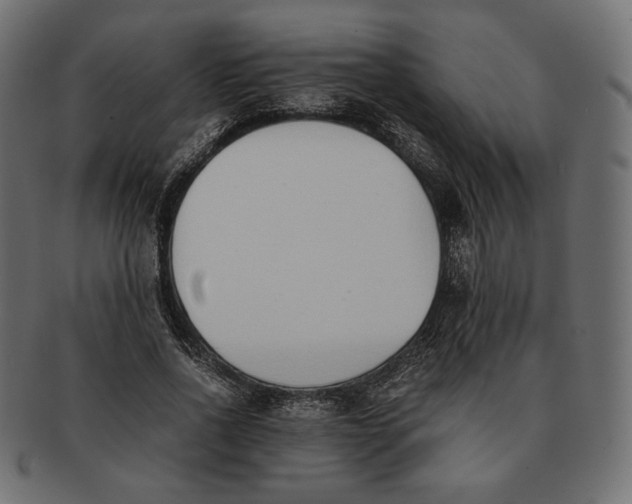 X0000091520734200709071016