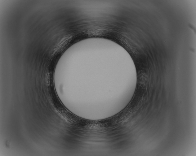 X0000091520738200709071016