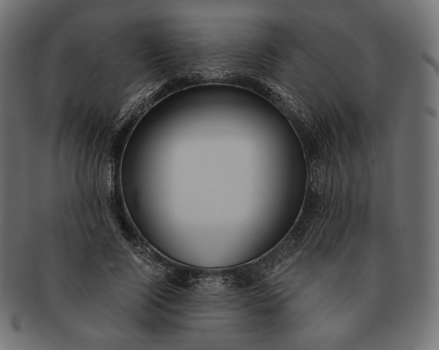 X0000091520740200709071016