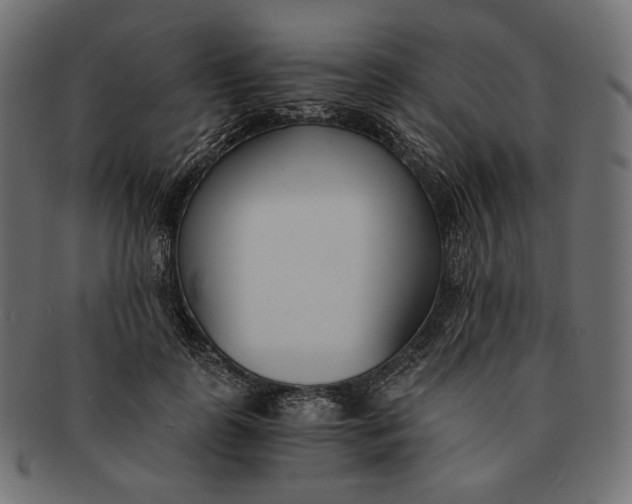 X0000091520747200709071016