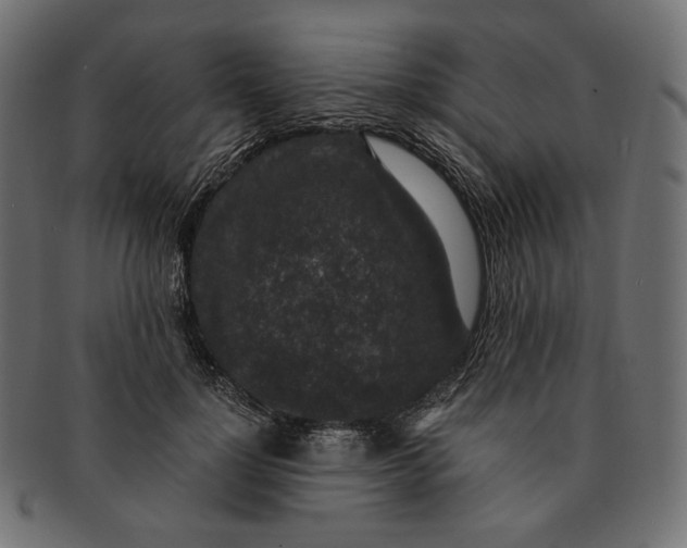 X0000091520748200709071016