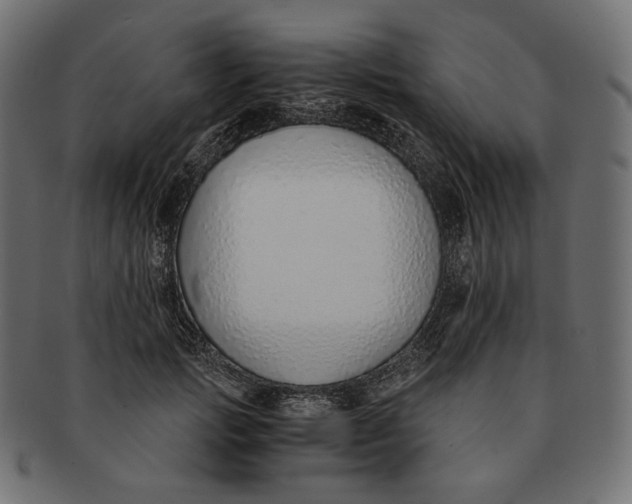 X0000091520749200709071016