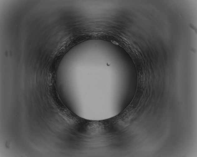 X0000091520750200709071016