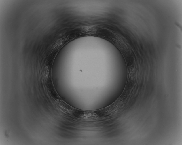 X0000091520752200709071016