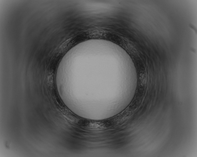 X0000091520753200709071016