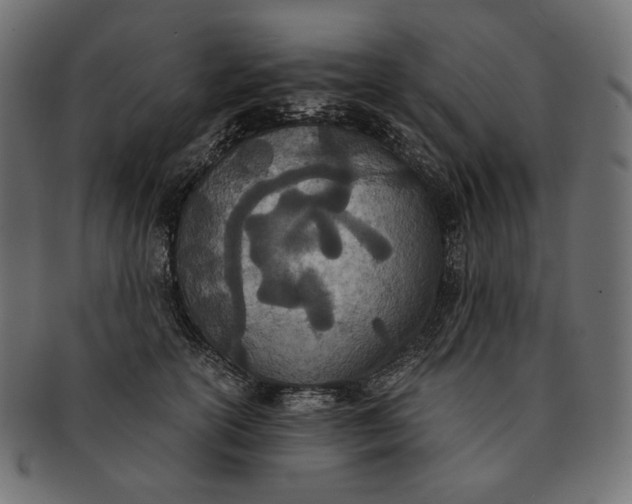 X0000091520754200709071016