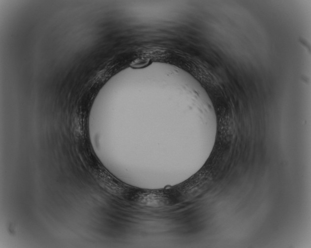 X0000091520755200709071016