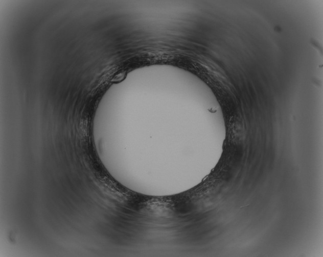 X0000091520756200709071016