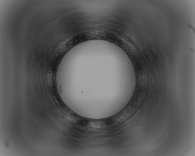 X0000091520757200709071016