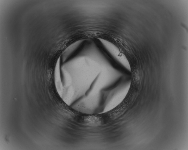 X0000091520759200709071017