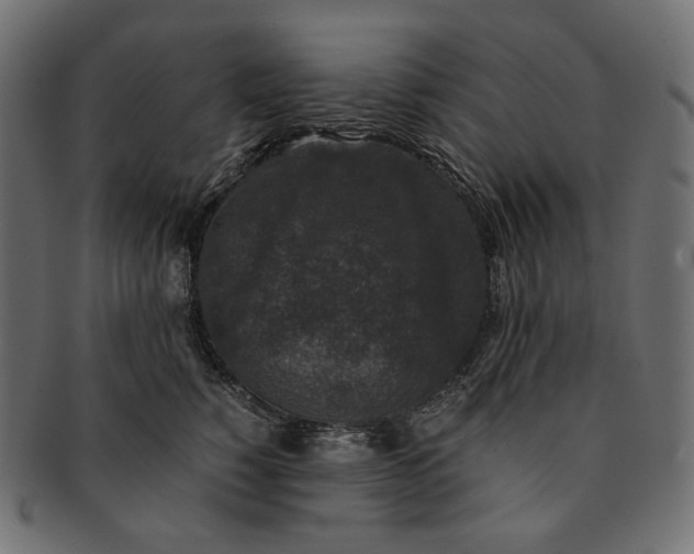 X0000091520760200709071017