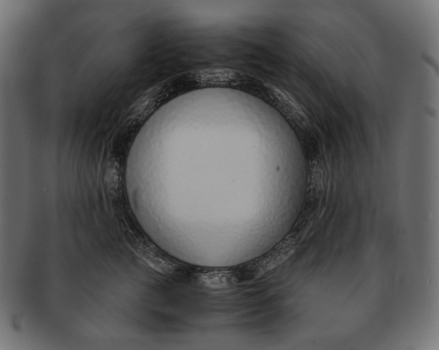 X0000091520761200709071017