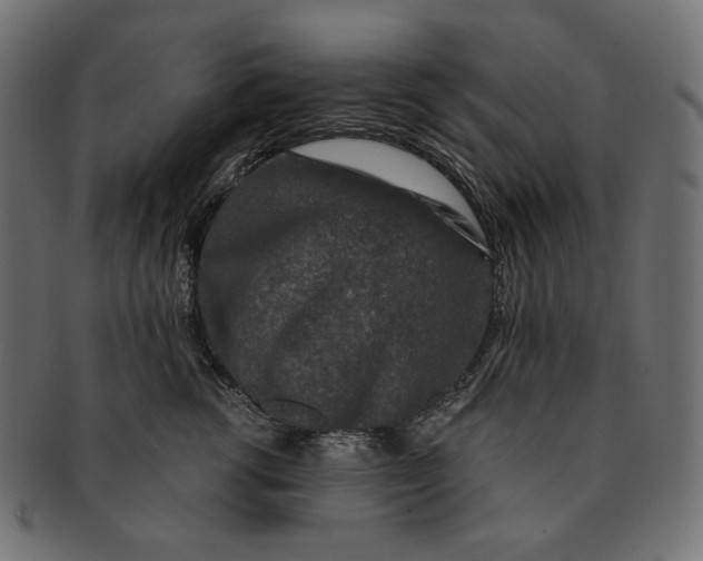 X0000091520762200709071017