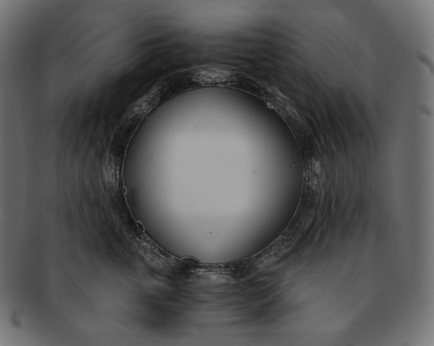 X0000091520763200709071017