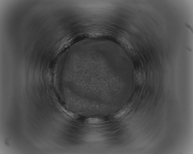 X0000091520766200709071017