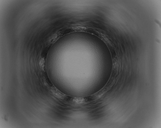 X0000091520767200709071017