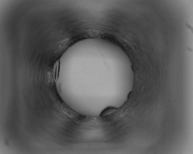 X0000091520768200709071017