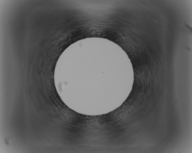 X0000091520769200709071016