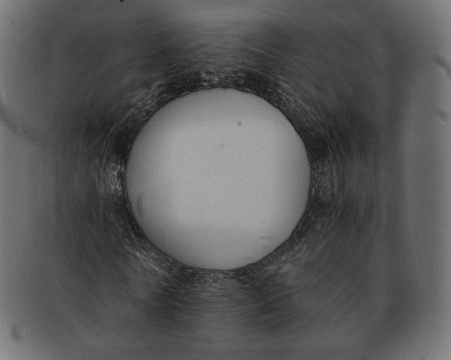 X0000091520770200709071016