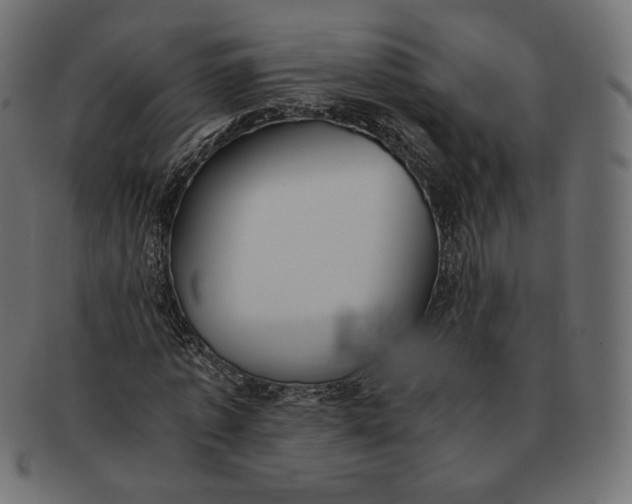 X0000091520773200709071016