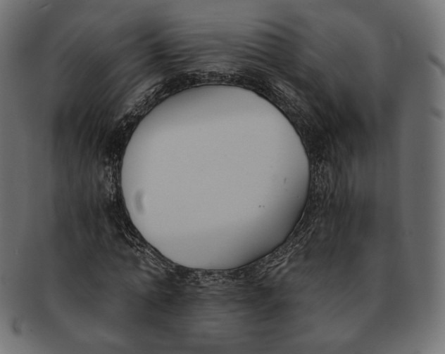 X0000091520774200709071016