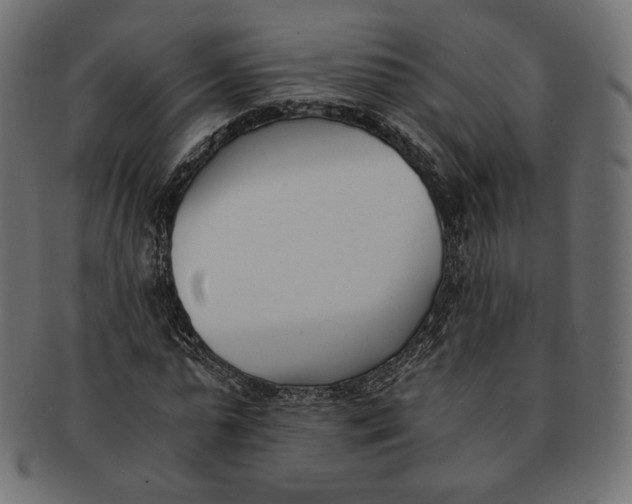 X0000091520775200709071016