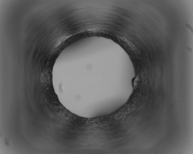 X0000091520776200709071016