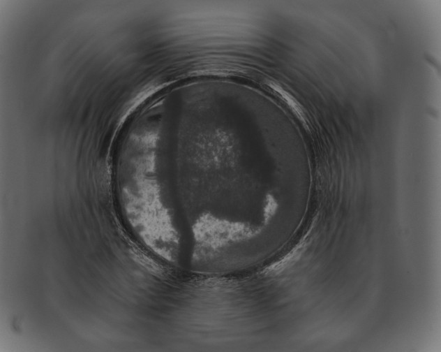 X0000091520779200709071016