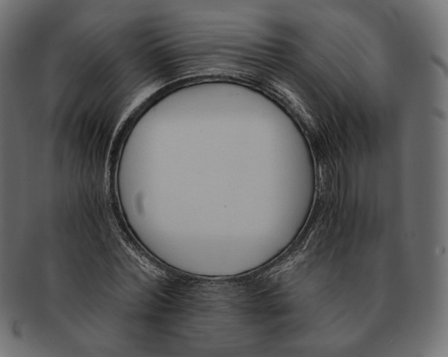 X0000091520780200709071016