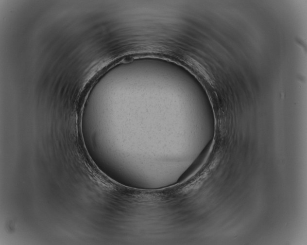 X0000091520781200709071016