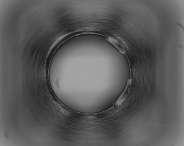 X0000091520784200709071016