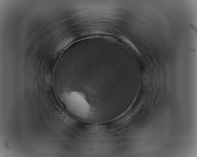 X0000091520785200709071016