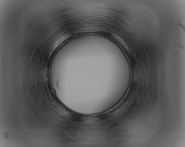 X0000091520786200709071016