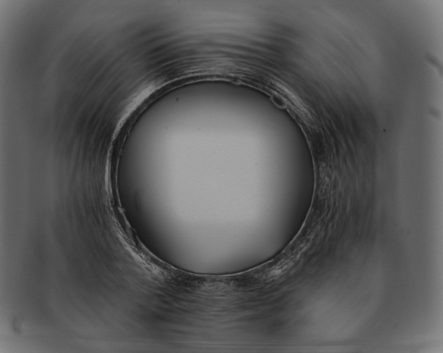 X0000091520788200709071016